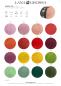 Preview: Farbkarte Merino Uno 1
